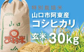 C072 特別栽培米阿東産コシヒカリ玄米30kg