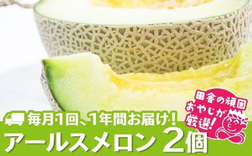 田舎の頑固おやじが厳選！【定期便】 アールスメロン 食べてみセット 2個入り 毎月1回 1年コース(全12回) [BI46-NT]