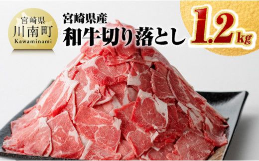 ※数量限定※宮崎県産和牛切り落とし1.2kg [ 国産牛 牛肉 肉 お肉 切落し ][D0610]