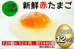 【12回定期便】新鮮 卵 京都・丹波の赤たまご 120個（100個＋割れ保証20個）×12ヶ月 計1440個 《生卵 たまご 鶏卵 小分け 1年間》※北海道・沖縄・離島への配送不可