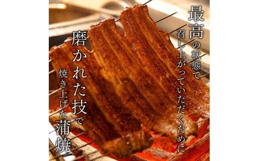 名店の味 宮崎県産うなぎ蒲焼 6尾(ウナギ780g以上) 国産 鰻 蒲焼き [G8406]