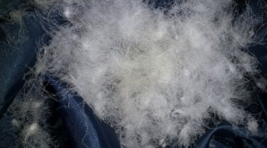 ポーランドホワイトグース羽毛布団（パイピング付き）　シングルサイズ　21127ブルー