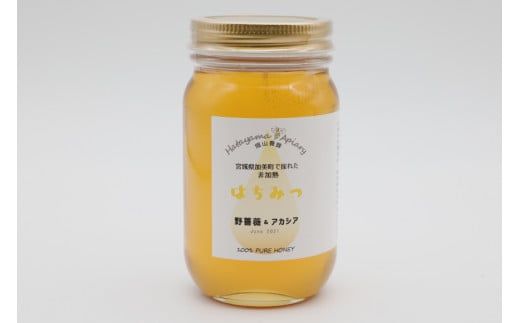 ＜季節の花とミツバチからの贈り物＞非加熱はちみつ300g×2種セット《数量限定》[畑山養蜂 宮城県 加美町 44580036] はちみつ ハチミツ 蜂蜜 ハニー ギフト ミネラル ビタミン 酵素 国産 セット 食べ比べ