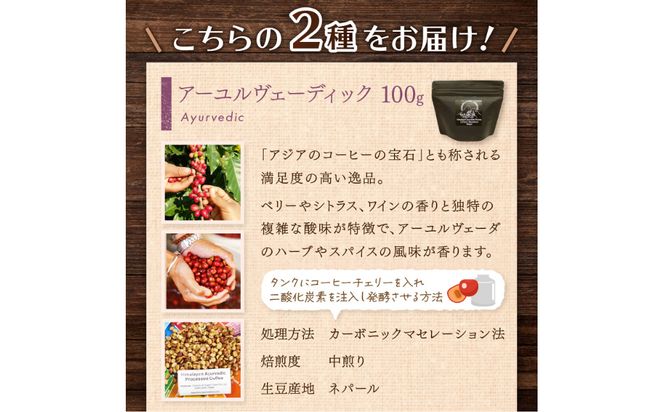 【子ども食堂への支援つき】自家焙煎スペシャルティコーヒー豆200g【166-0003】