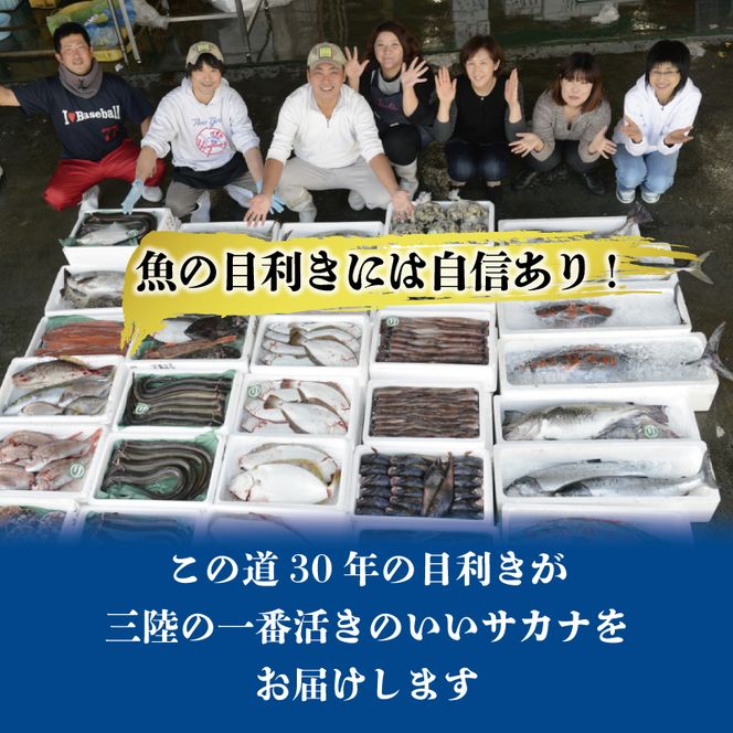 �y��茧��D�n�s�z�N���� �C�N ���L�� ����� �N�� �{ �l�ꂽ�� 3�`6�C �Z�b�g �l�ߍ��킹 ������ �������� �� �C�̍K ���� FISH ���͂� �[�� ������ ���܂� �ӎ� �� �� �O���Y ��茧 ��D�n�s [56500295_1]