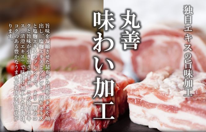 099Z211 【氷温熟成×極味付け】国産 豚肉 4種セット 定期便 1.2kg×3回 小分け【毎月配送コース】