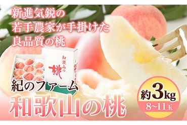 和歌山の桃 3kg 紀のファーム 《2024年6月上旬-8月中旬頃出荷》 和歌山県 紀の川市 モモ 桃 もも 果物 くだもの フルーツ 送料無料 化粧箱入 贈答用---wsk_cknf4_a68_23_19000_3kg---