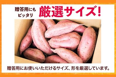 和歌山県のサツマイモ 在来種 厳選サイズ 5kg《12月中旬‐4月下旬頃出荷》和歌山県 日高川町 みはらファーム さつま芋 薩摩芋---wshg_mgsi_b124_22_13000_5kg---