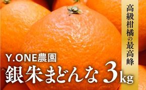 【先行受付】【数量限定】銀朱まどんな（生果）12個入り（3kg) ｜ 柑橘 みかん ミカン 蜜柑 紅 まどんな 愛果 28号 と同品種 果物 フルーツ 愛媛県産　※2024年12月上旬～12月下旬頃より順次発送予定