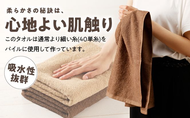 010B667 【TVで紹介！】ナチュレル 贅沢フェイスタオル 10枚（ブラウン系）【泉州タオル 国産 吸水 普段使い 無地 シンプル 日用品 家族 ファミリー】