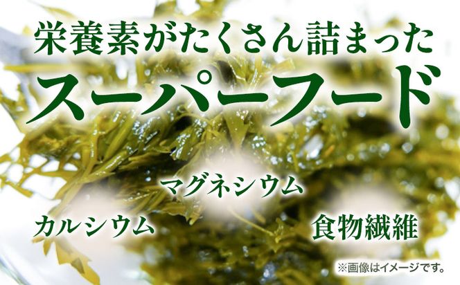 紀州あかもく(由良町産) 1kg(100g×10パック) 2024年産《30日以内に出荷予定(土日祝除く)》 和歌山県 日高町 海藻 アカモク スマイル 味噌汁 惣菜---wsh_fsml14_30d_24_13000_10p---