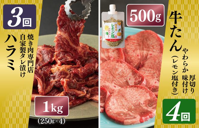 099Z135 焼肉専門店厳選 大満足 焼肉 定期便 全6回 【毎月配送コース】