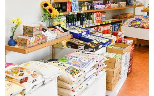 気仙沼市 空き家管理サービス [根口商店 宮城県 気仙沼市 20563661] 