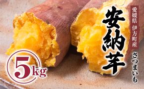 【先行受付】高糖度で人気定番！安納芋5kg ｜ さつまいも サツマイモ 焼き芋 やきいも 産地直送 スイート　※2024年10月中旬～2025年3月中旬頃まで順次発送予定