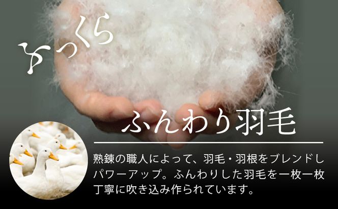 099H3093 羽毛布団 1枚 シングル 150cm×210cm 訳あり 柄おまかせ【国産 羽毛 ふとん 寝具 掛け布団 羽毛ふとん】