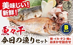 A-136 魚々干 今日の漁りセット Bセット 灰干し 鯛 イカ タコ 鰆 特定非営利活動法人 かさおか島づくり海社《45日以内に出荷予定(土日祝除く)》岡山県 笠岡市 魚 さかな 干し おまかせ 詰め合わせ 天然魚介 魚介---A-136---