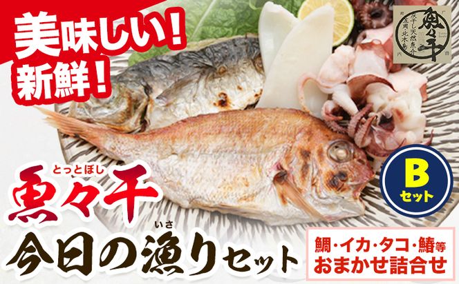 A-136 魚々干 今日の漁りセット Bセット 灰干し 鯛 イカ タコ 鰆 特定非営利活動法人 かさおか島づくり海社《45日以内に出荷予定(土日祝除く)》岡山県 笠岡市 魚 さかな 干し おまかせ 詰め合わせ 天然魚介 魚介---A-136---