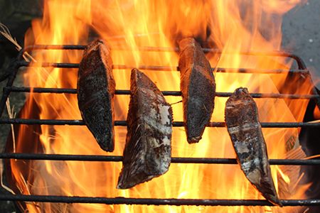 【年内配送】本生！老舗魚屋大将が厳選した 本格カツオ藁焼きタタキセット 400g 冷凍 国産 高知 土佐 四万十 しまんと かつお 鰹 カツオ かつおのたたき かつおのタタキ タタキ 藁焼き たれ付き ごちそう グルメ 魚介 25-034N