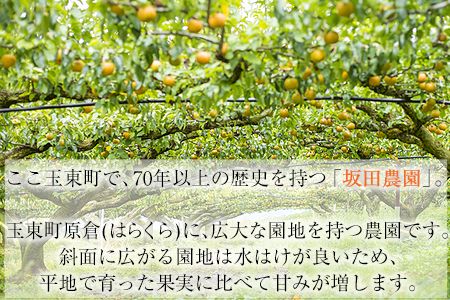 『坂田農園』の玉東梨 約3kg《8月中旬-9月末頃出荷》 熊本県玉名郡玉東町産『坂田農園』なし 果物 スイーツ フルーツ デザート スムージー 熊本県玉東町---sg_csakatanashi_bc8_r8_12000_3kg---