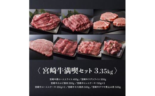 宮崎牛 満喫セット 7種 3.3kg 肉 牛 牛肉 国産 黒毛和牛[D0650]