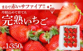 （予約受付中）【12月以降順次発送】まるで赤いサファイア!!丹精込めた完熟いちご!! 約1350g H130-011