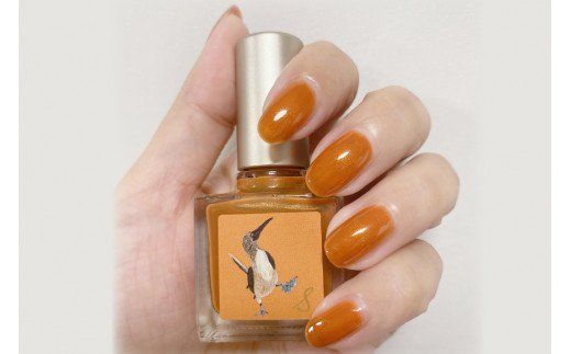 ネイルエス 飴色蜜柑 [テラコッタオレンジ色に 極小ラメをちりばめて]｜シンセリティーコスメ 大阪府 守口市 [2001]