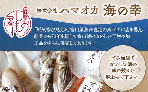 富山の干物専門店が選ぶ、お酒のおとも詰め合わせ 富山 魚津 ハマオカ海の幸