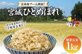 簡単に炊ける 宮城県産 ひとめぼれ 発芽玄米1k [菅原商店 宮城県 加美町 44581384] 米 こめ コメ 玄米 発芽玄米 ご飯