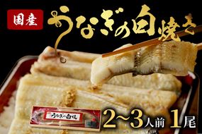 うなぎの白焼き2~3人前(1尾)　ウナギ 鰻 白焼 しらやき タレ 国産 丑の日 ふるさと納税 うなぎ ふるさと納税 鰻 ふるさと納税 惣菜 京都 AN00073