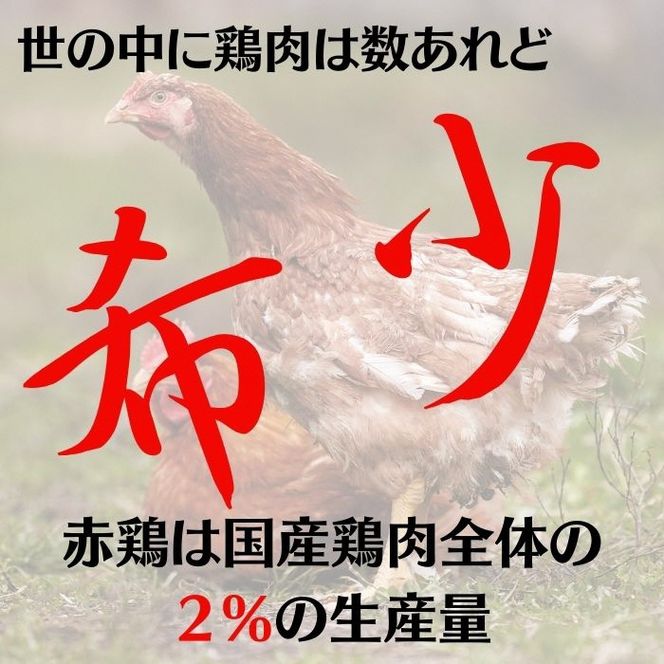 ＼期間限定特別寄附額／ 丹波赤どり むね肉 6kg セット（2kg ×3袋）京都亀岡丹波山本《鶏 鶏肉 ムネ ムネ肉 業務用 訳あり》