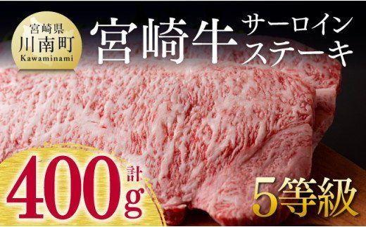 [5等級限定]宮崎牛 サーロインステーキ 400g 肉 牛 牛肉 国産 黒毛和牛[D00643]
