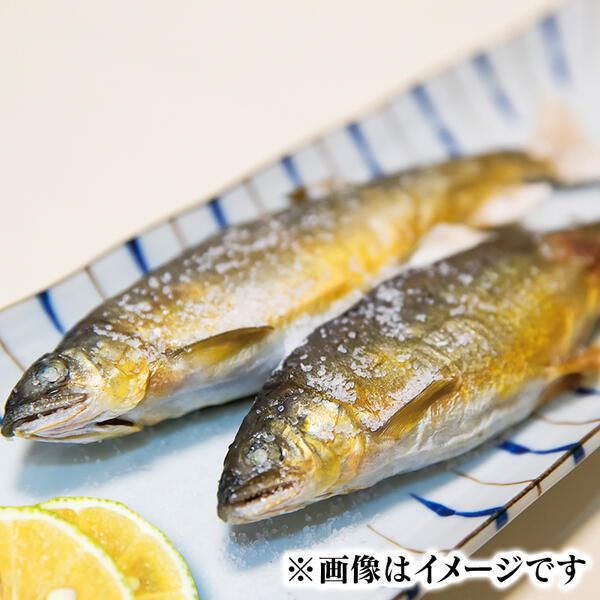 若鮎1kg～3.1㎏【冷凍】