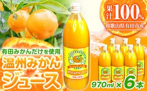 みかん ジュース 和歌山 有田産 100% 温州 みかん ジュース 970ml × 6本 セット 太千青果物《30日以内に発送予定(土日祝除く)》和歌山県 日高町 蜜柑 果汁 100％ ストレート 柑橘 果物 添加物不使用 送料無料---wsh_ts6_30d_23_21000_6h---