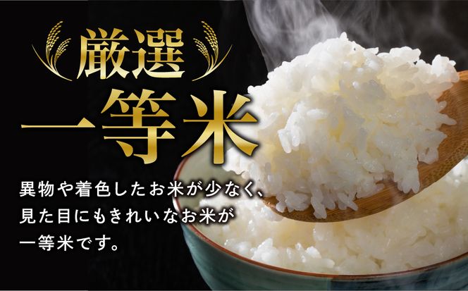 新米 【 令和5年 田村市産 】白米 コシヒカリ 10kg お米 贈答 美味しい