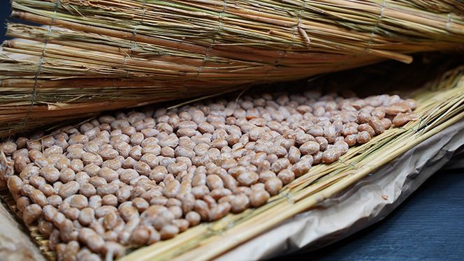 老舗の味にこだわる「横島醤油納豆」の醤油、手造りかあちゃん味噌、こも納豆セット　[AO016ya]