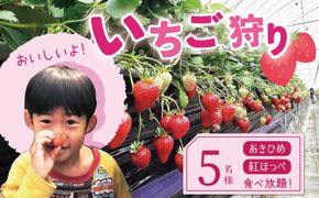 【1レーン貸切・最大60分食べ放題（土日祝・繁忙期は45分）】いちご狩り券 5名様（３才以上）愛知 体験 チケット くだもの狩り フルーツ狩り H175-010