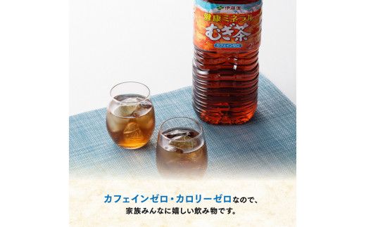 健康ミネラル むぎ茶2L×6本×2ケースPET [3ケ月定期便] （麦茶）[D07359t3]