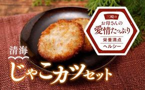 練り物 清海 じゃこカツセット（20枚） ｜ 練り物 冷凍 名産 郷土料理 ご当地グルメ おつまみ おかず お弁当 愛媛