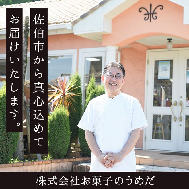 米粉のどらやき おおいたどら (計10個) どらやき どら焼き 餡 米粉 菓子 スイーツ おやつ 焼き菓子 和菓子 お取り寄せ 個装 常温 大分県 佐伯市【AG126】【お菓子のウメダ】