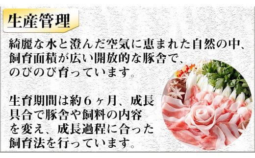 ヤマトポーク　ローススライス　しゃぶしゃぶ用 800g  ／ 豚肉 豚ロース 豚しゃぶ ヤマトポーク 奈良県