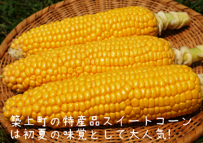 10-153【令和8年産予約受付】スイートコーン（約3kg）「京築の恵み」【令和8年6月上旬～6月下旬発送】