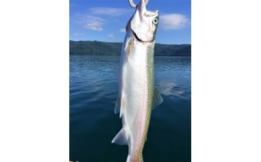 235.ワッカBBB宿泊券（４名様トラウト釣りプラン　夕食バーベキュー）