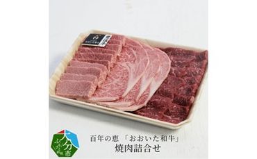 【A01064-K】【敬老の日ギフト】百年の恵 「おおいた和牛」 焼肉詰合せ約990g《9月16日お届け》