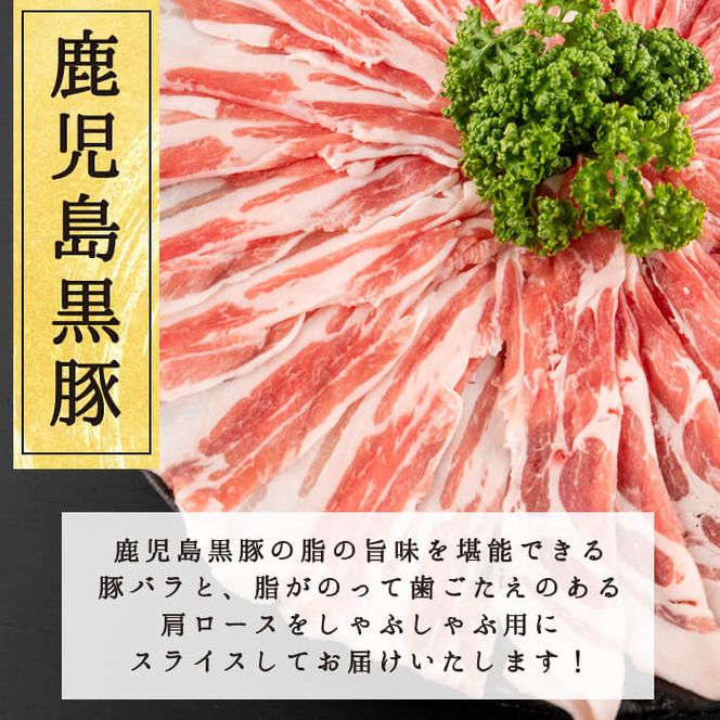 鹿児島県産黒豚しゃぶしゃぶ2種＆大根ポンズセット計1kg(カタロース約500g・バラ約500g・たれ170g) a5-301