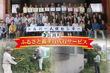 熊本県 長洲町ふるさと親孝行代行サービスC---sn_silvercenter_r7_20000_c---