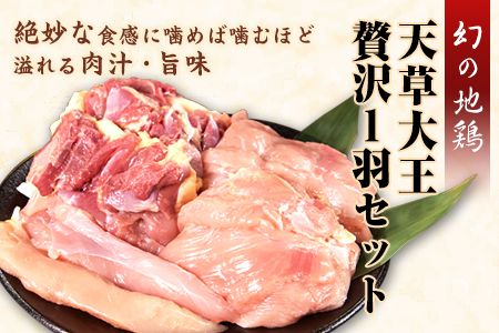 天草大王　贅沢1羽セット《60日以内に出荷予定(土日祝除く)》約1.5kg【幻の地鶏】もも・むね・ささみ 各2枚 熊本県産 あそ大王ファーム株式会社---so_faso1wa_60d_r7_17500_1500g---