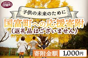 ＜寄附のみの応援受付(返礼品はございません)＞寄附額1,000円【 応援 寄附 未来 地域支援 おすすめ 1000円 国富町 宮崎県国富町 】【a0039_ku】 