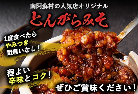 とんがらみそ 8個入り《30日以内に出荷予定(土日祝除く)》熊本県 南阿蘇村 マグマ食堂 ラーメン店 人気店オリジナル 調味料 ソース ドレッシング---isms_mgtongara_30d_r7_19000_8p---