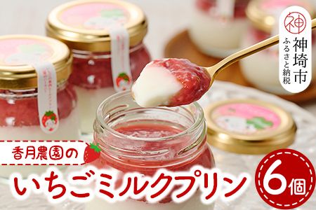 いちごミルクプリン6個セット【佐賀県産 さがほのか シャーベット プリン県 冷凍 果肉ソース スイーツ】 (H017113)