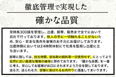 馬とろ 150g×3袋 馬刺 国産《30日以内に出荷予定(土日祝除く)》 熊本肥育 冷凍 肉 絶品 牛肉よりヘルシー 馬肉 予約 熊本県長洲町---ng_fkgtoron_30d_r7_11000_450g---